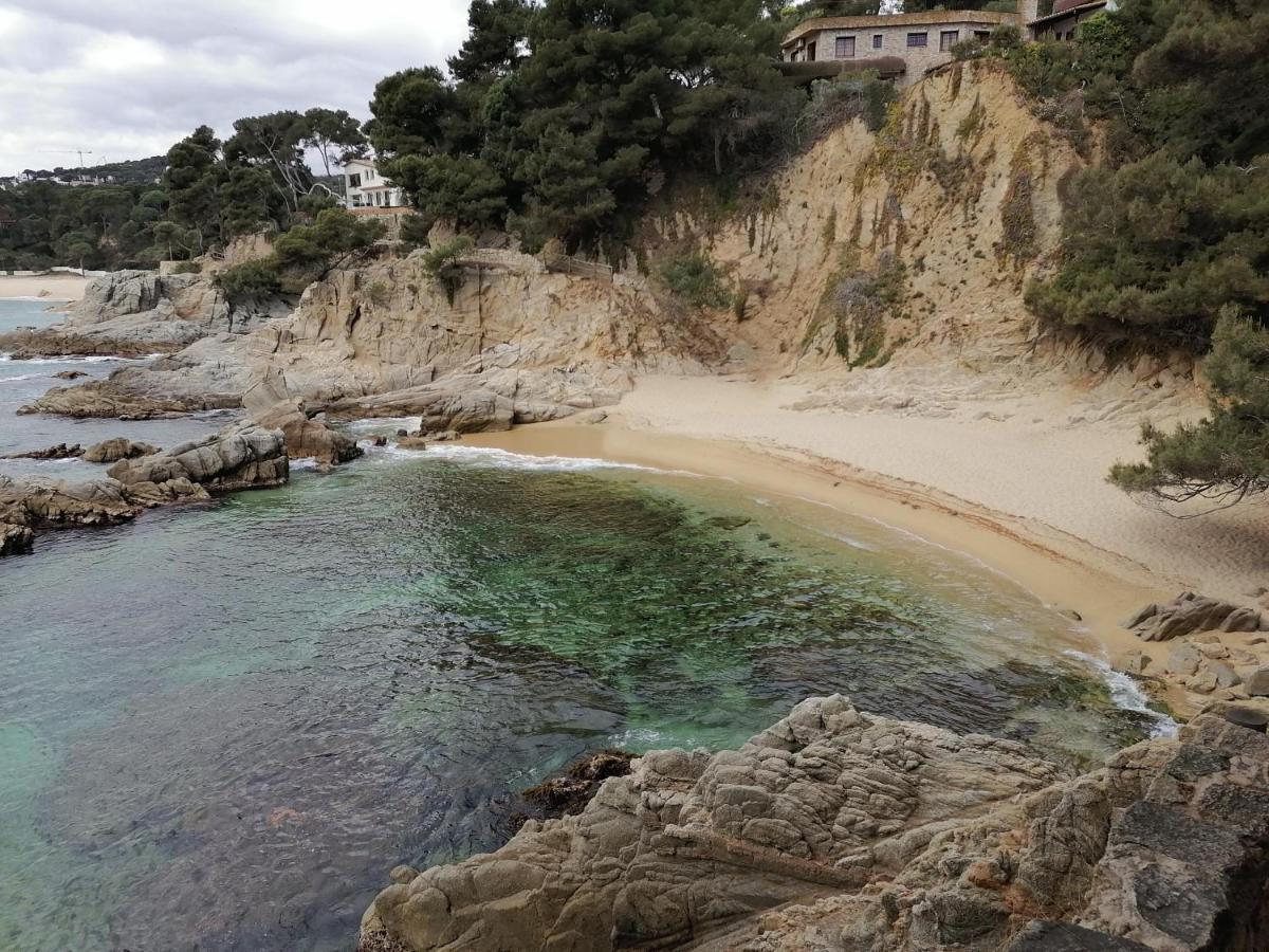 L'Estartit, Estudio En Primera Linea De Mar. Dış mekan fotoğraf