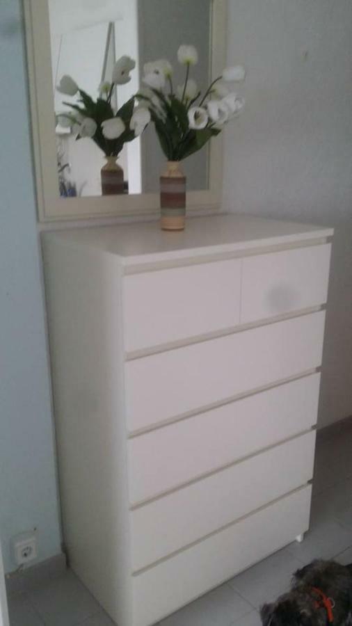 L'Estartit, Estudio En Primera Linea De Mar. Dış mekan fotoğraf